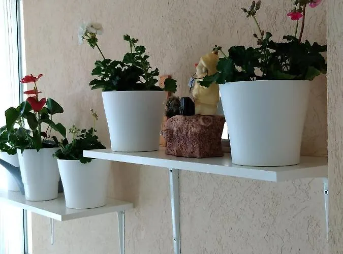 Apartamento Heart Of